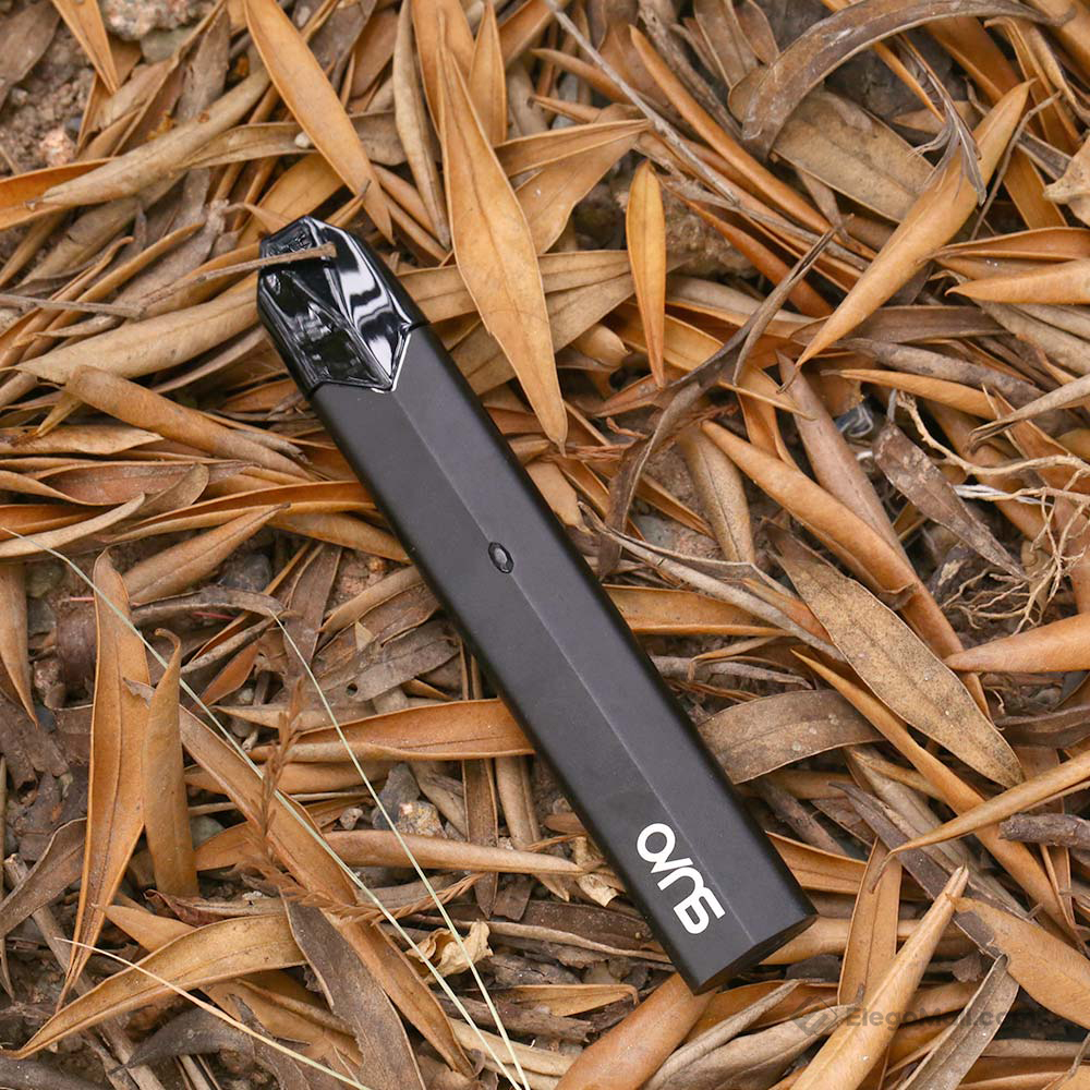Ovns Saber II 600mAh Pod Kit