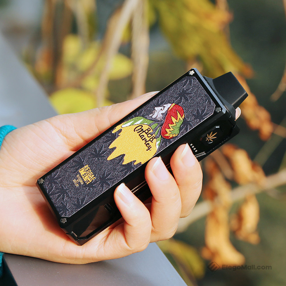 Shelby Noir DH Kit 2500mAh