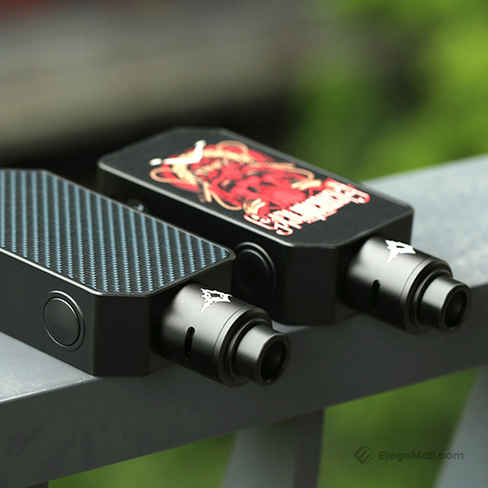 Rincoe Manto Beast 228W Box Kit