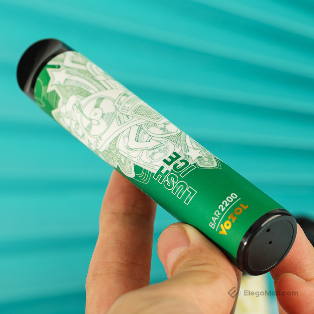 VOZOL Bar 2200 Disposable Kit 1100mAh