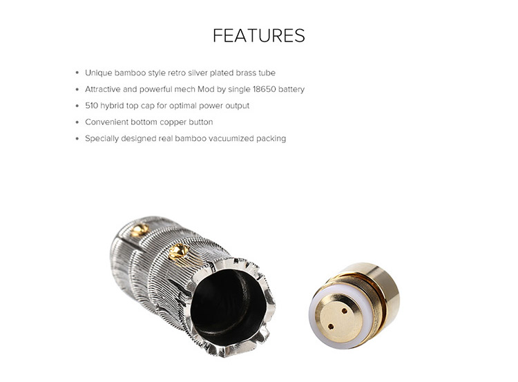 Blitz B17 Mech Mod Feature