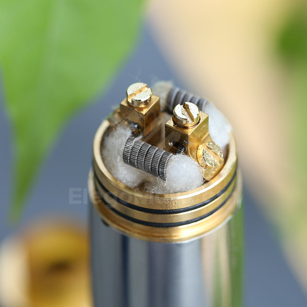 Arctic Dolphin Blaze BF RDA Tank Atomizer