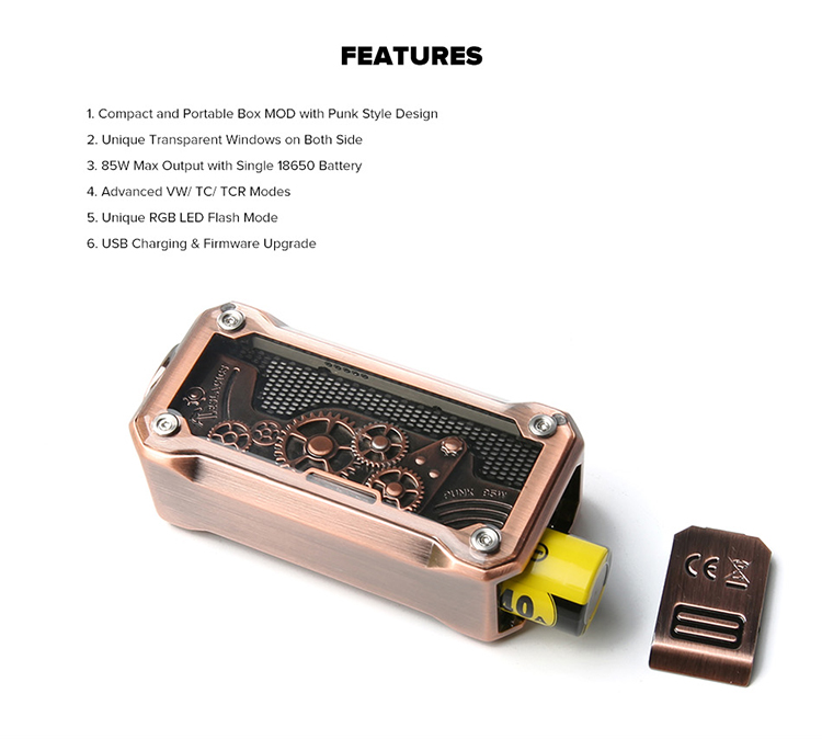 Teslacigs Punk 85W Mod