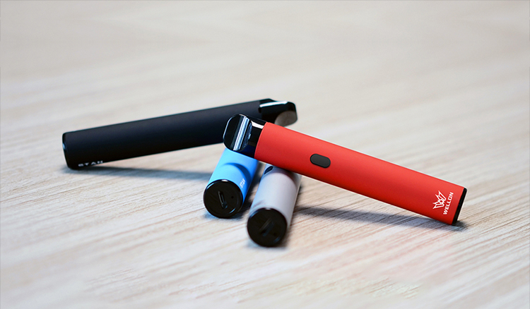 Wellon STAN Pod System Kit