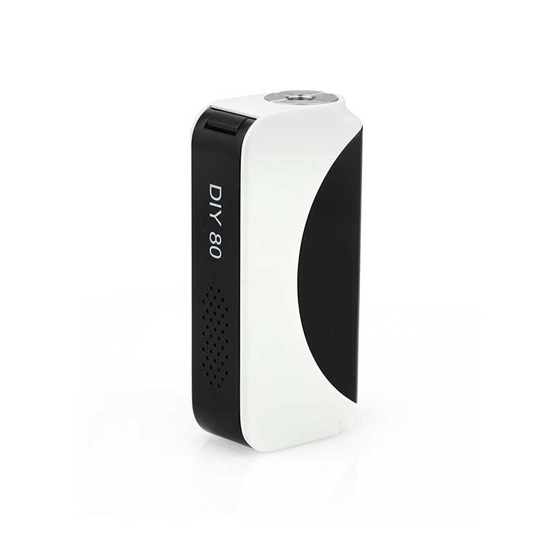  Vision Vapros DIY 80W TC MOD